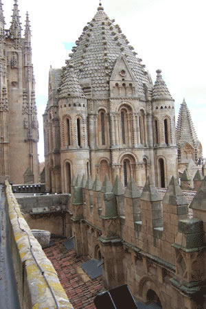 Salamanca Photos: Old Cathedral